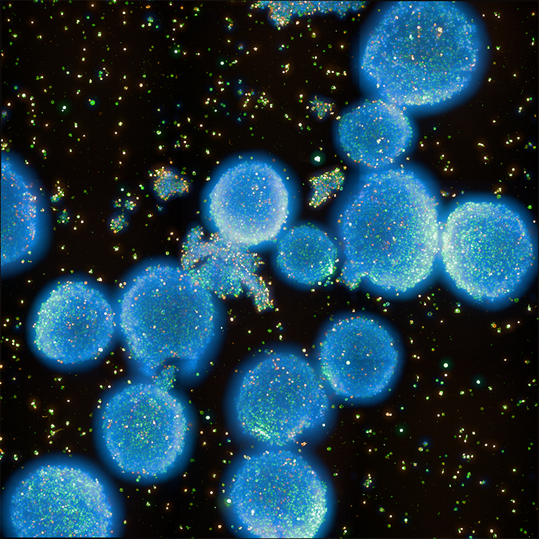 Glowing blue bunched clusters in a field of light speckled black space.