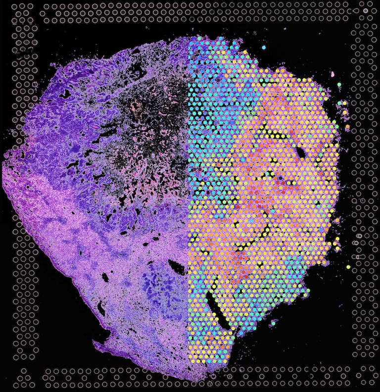 Rainbow colored craggy shape resembling an island.