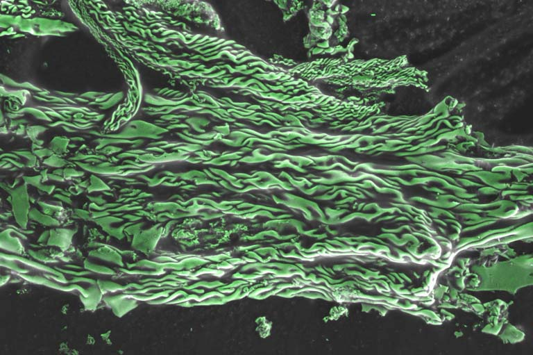 rope-like strands of polymer-coated nanoparticles in a bundle