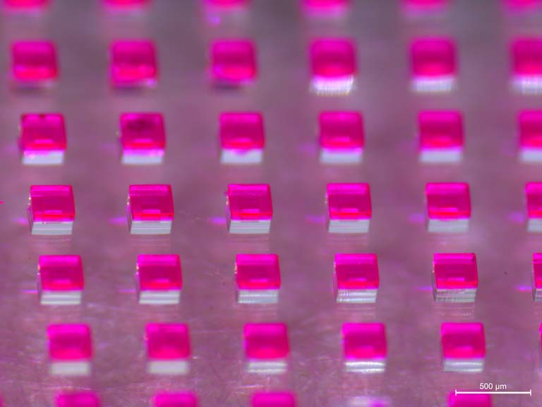 glowing pink cube-like capsules on a glass slide