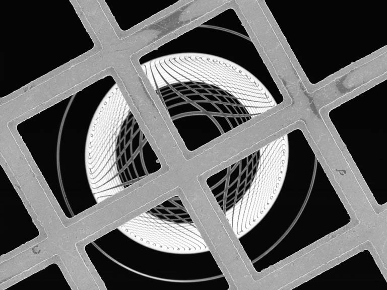 circular rings seen through a grid of squares