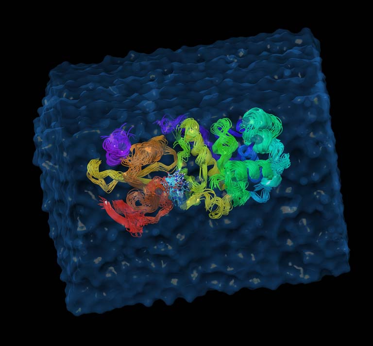 molecular model of a protein surrounded by blue