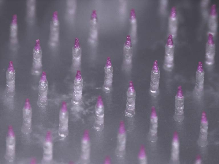 soft focus view of clear pink-tipped microneedles in an array