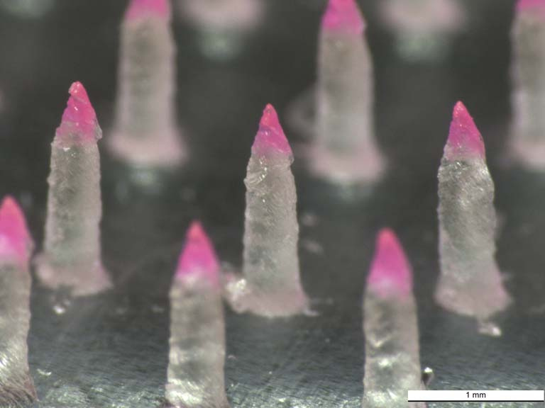 close-up view of clear pink-tipped microneedles in an array