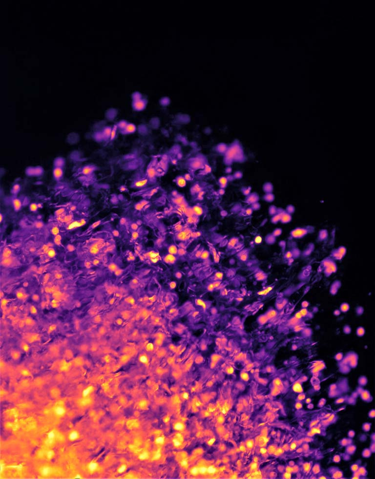 cells (in gold and magenta) disperse upward against a black background 