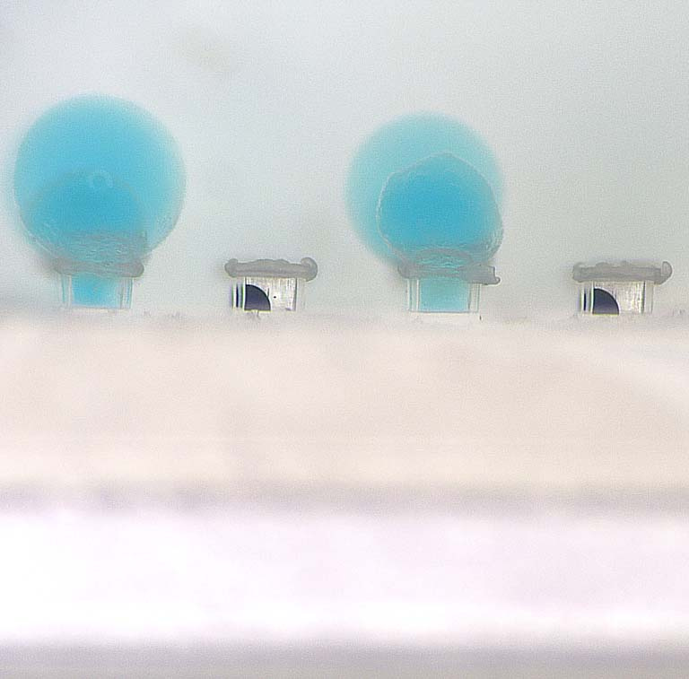 blue bubbles emerging from clear rectangular capsules