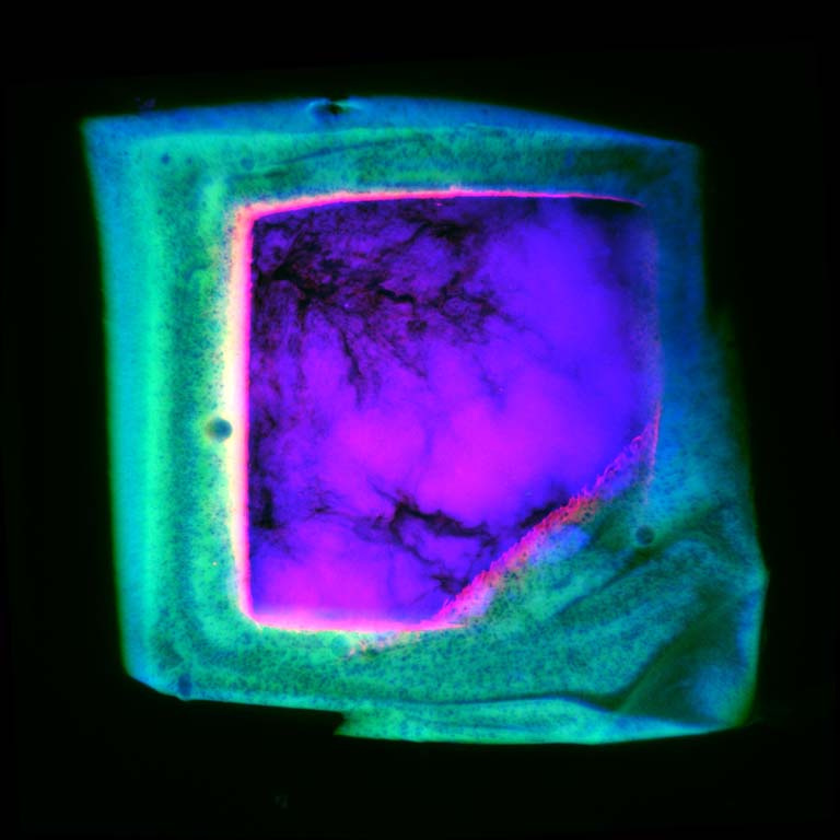 layered hollow squares colored purple, pink, yellow, green, and blue and sliced like a loaf of bread