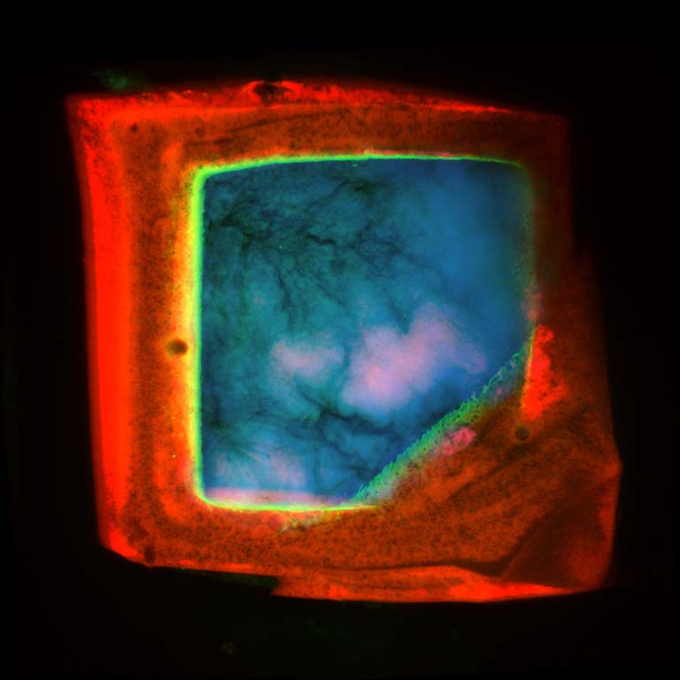 red hollow squares with blue in the center and stripe of yellow at the intersection