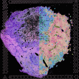 Rainbow colored craggy shape resembling an island.