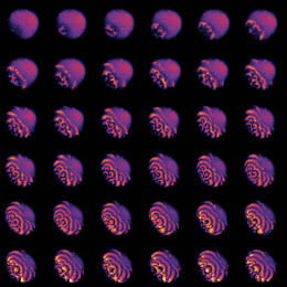 6-by-6 grid of purple ovals, with increasingly detailed structure