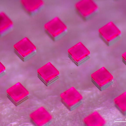 bright pink cubic particles on a glass slide