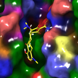 view into the center of a 3-D protein structure model